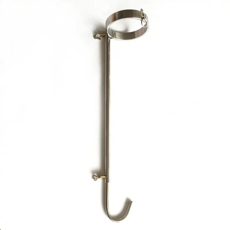 Unisex Stainless Steel Collar and Anal Hook Restraint - Yes, Ruby