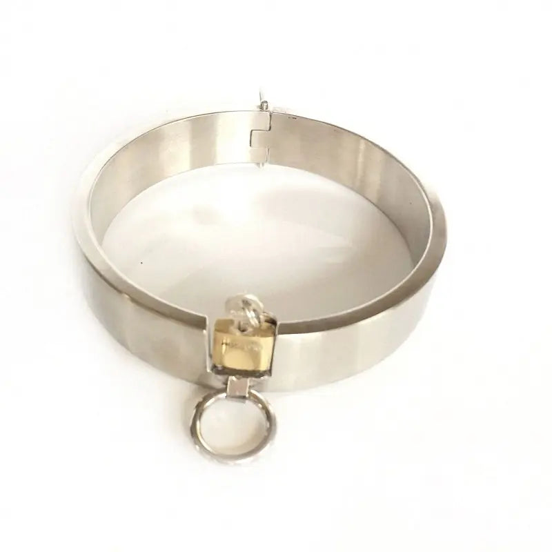 Unisex Stainless Steel Collar and Anal Hook Restraint - Yes, Ruby